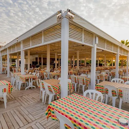 Victory Volare Side 5* Colakli